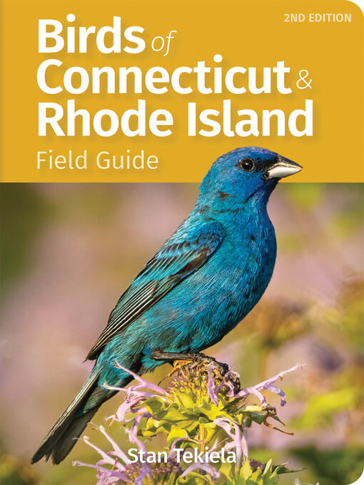 Cover image for Birds of Connecticut & Rhode Island Field Guide